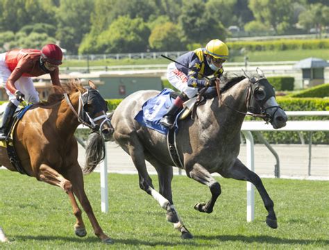 santa anita race results today